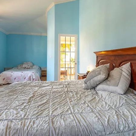 Pet Friendly In Nyaraló *