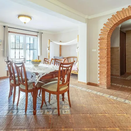 Pet Friendly In Torrevieja