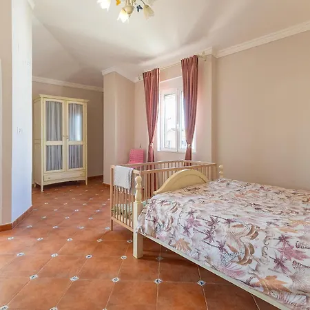 Pet Friendly In * Torrevieja