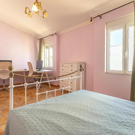 Pet Friendly In Nyaraló Torrevieja