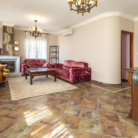 Pet Friendly In Torrevieja