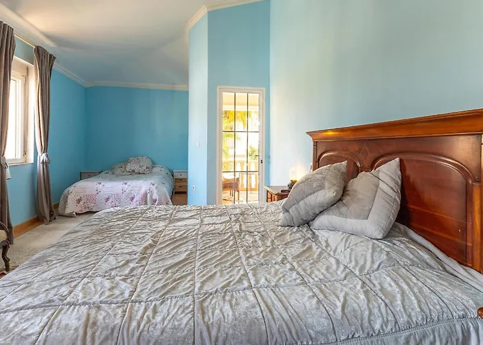 Pet Friendly In Vakantiehuis *