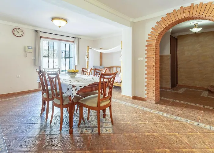 Pet Friendly In Torrevieja