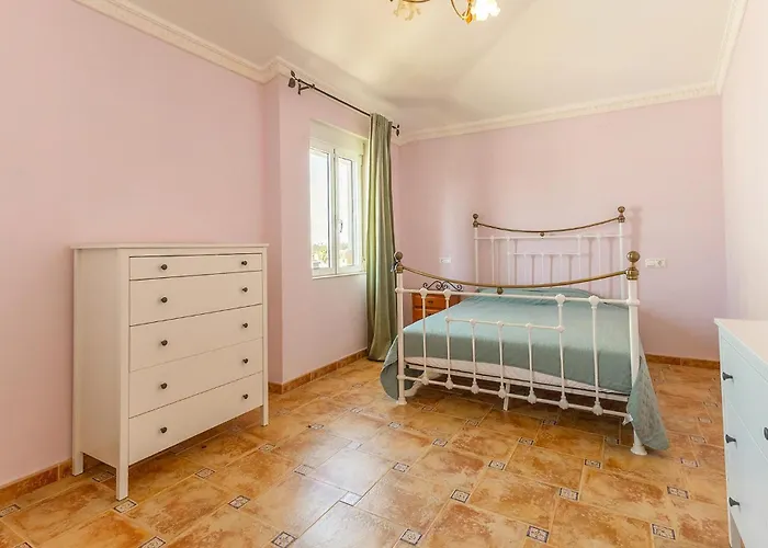 Pet Friendly In Nyaraló Torrevieja