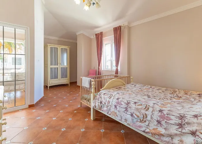 Pet Friendly In * Torrevieja