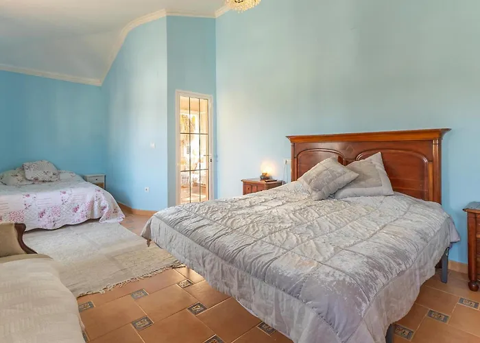 Pet Friendly In Nyaraló