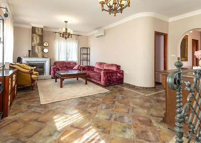 Pet Friendly In Torrevieja