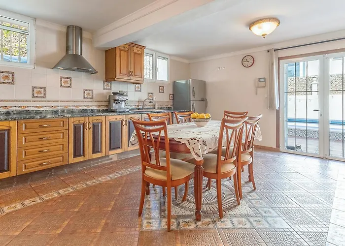 Pet Friendly In Torrevieja