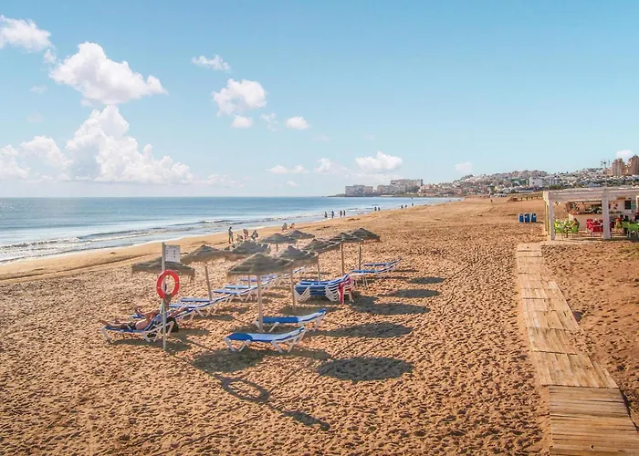 Pet Friendly In Vakantiehuis *